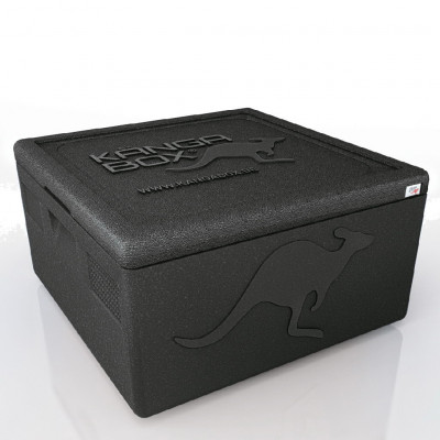 Kängabox termobox Easy S 21l černá