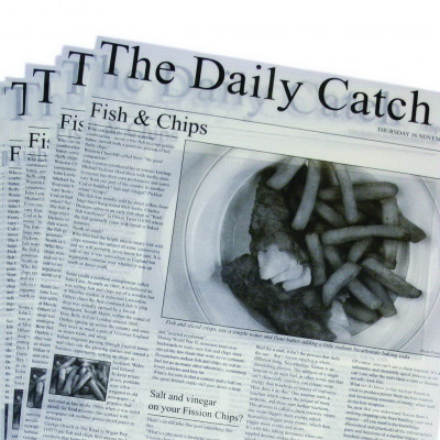 DPS Presentation Daily Catch protiskluzový papír 25.5x40.5cm