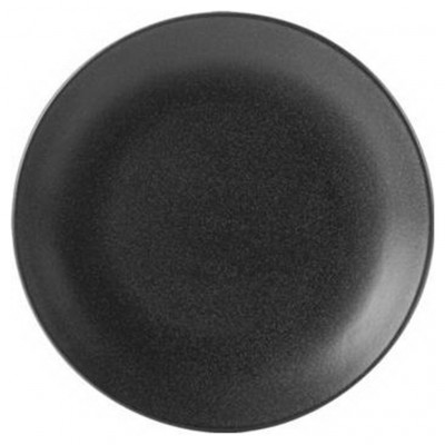 DPS Graphite Coupe Plate 24cm